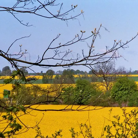 Διαμέρισμα Stille Hoeren