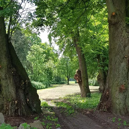 Stille Hoeren * Zehna