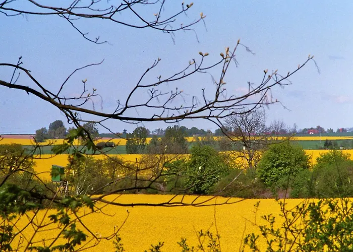 Διαμέρισμα Stille Hoeren